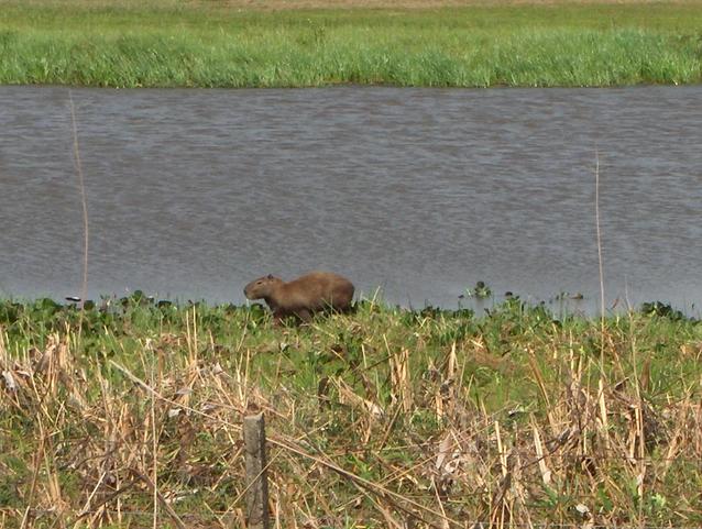 Beside a lagoon