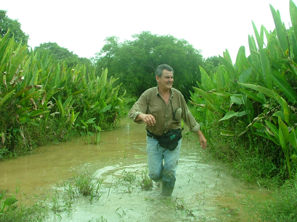 Walking on water and mud