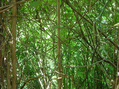 #3: South view