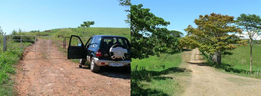 2,43 km to go, but locked – a nice, shadowed gravel road