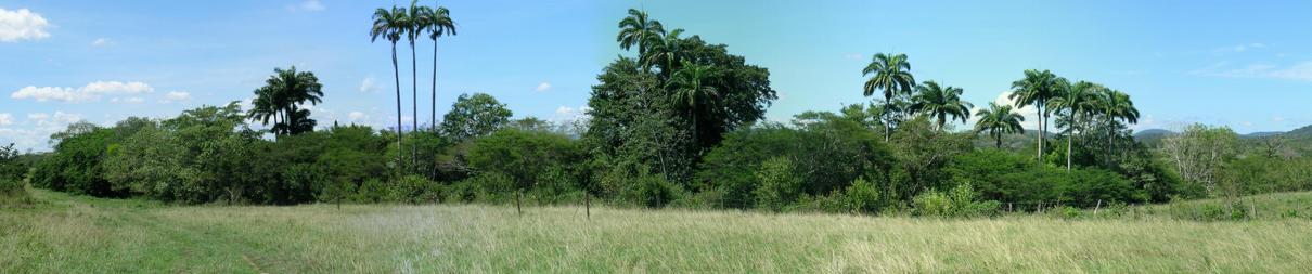 Approach from farm – South West