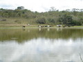 #9: ONE OF THE LAGOON INSIDE THE RANCH