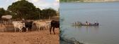 #10: Cattle raising, fishing and local craftsmanship