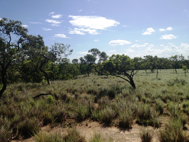 Oeste. West