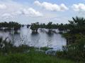 #5: ESTUARY OR SWAMP OF CAMAGUAN- TYPICAL FLOODED LAND