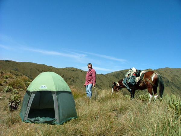 Camp site