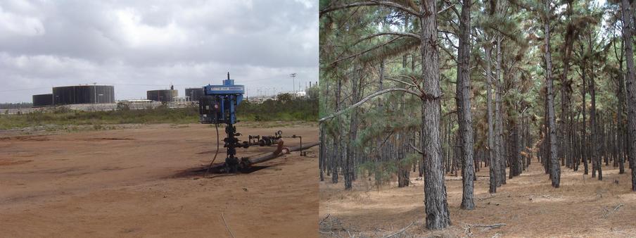 OIL PRODUCTION FACILITIES NEARBY THE CONFLUENCE AREA AND THE PINE PLANTATION