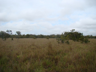 #1: View of Confluence South (Sur)