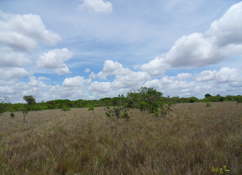 Vista Oeste - West view