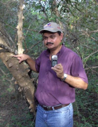 Hector Rodriguez mostrando arbol "Bocsuo" en CP