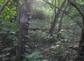 #4: Vista Oeste