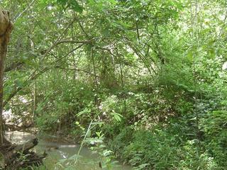 #1: CONFLUENCE POINT VIEW FROM THE SOUTH