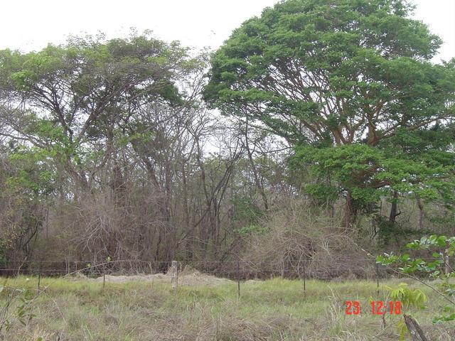 INSIDE THAT VEGETATION IT IS LOCATED N9W68