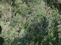 #3: Oeste