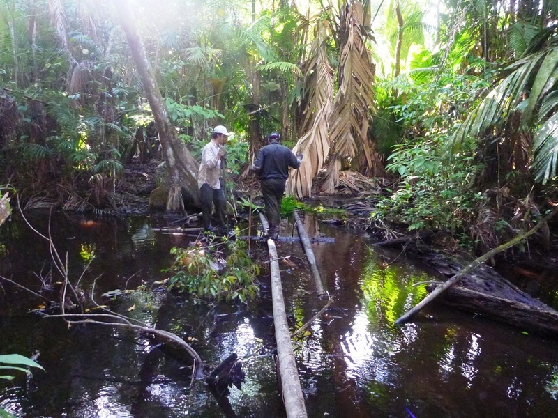 Cedrid y mi persona cruzando el pantano/Cedric and me across the swamp