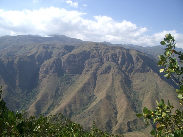 North View