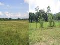 #2: North and South view