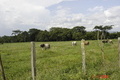 Visit #5: [03-Sep-06]