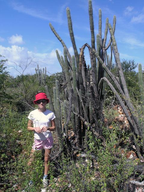 Cathinka was dwarfed by the cactus plants