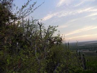 #1: Vista desde el punto de confluencia / View from confluence point