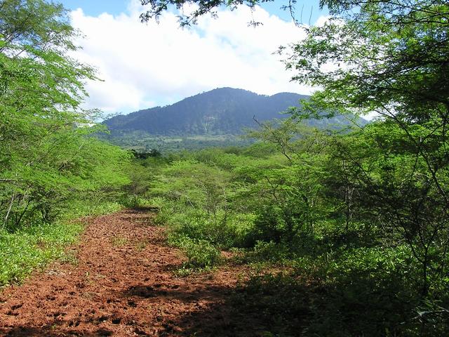 MUD PATH TO CONFLUENCE