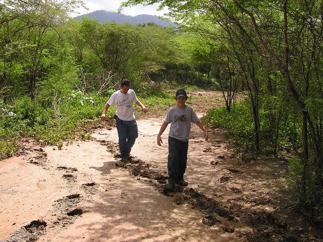 WALKING OVER THE MUD