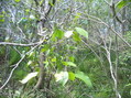 #4: SOUTH VIEW