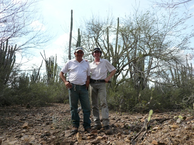 los cazadores / the hunters