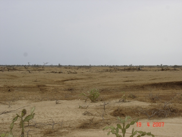 CONFLUENCE GENERAL VIEW