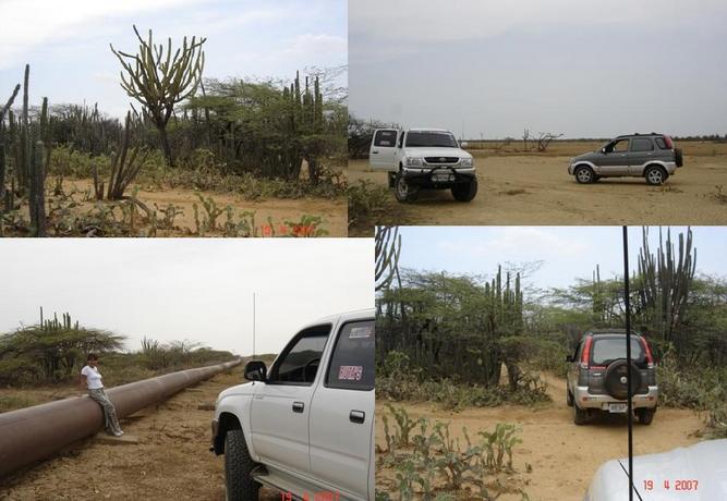 TYPICAL VEGETATION,  THE CAR IN THE DESERT, THE PIPELINE AND THE THRASHES
