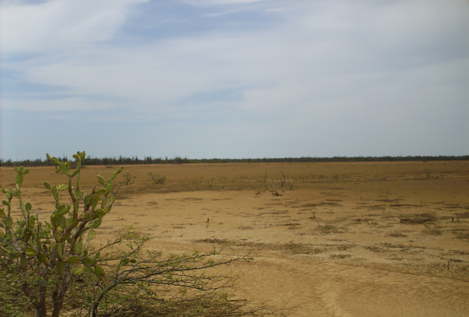 VISTA AL ESTE, VIEW TO EAST