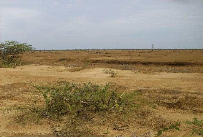 VISTA AL OESTE. VIEW TO WEST