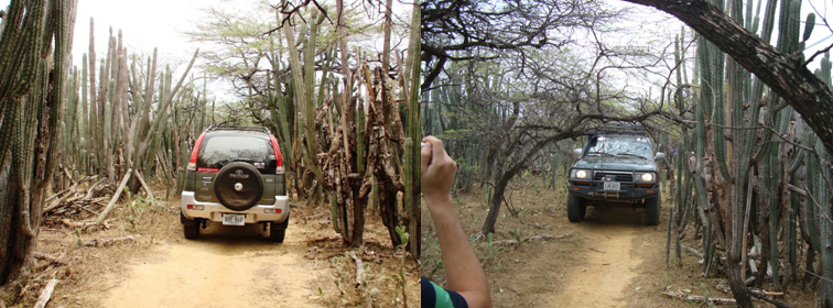 ATRAVESANDO LA TRILLA HACIA PUNTO DE LA CONFLUENCIA. GOING ON A DIRTY ROAD TOWARD THE CONFLUENCE POINT