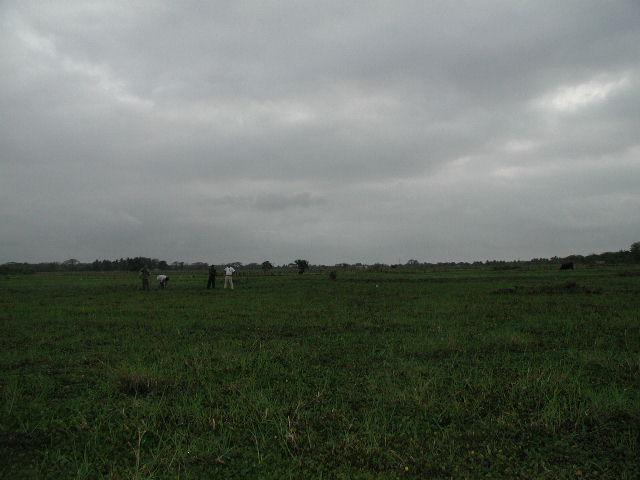 West