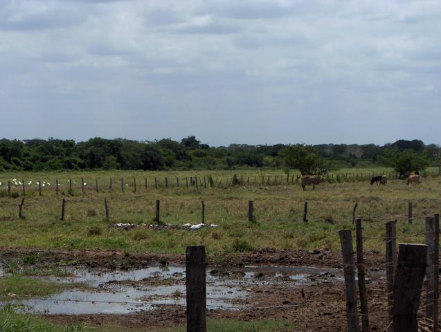 GENERAL VIEW OF THE AREA