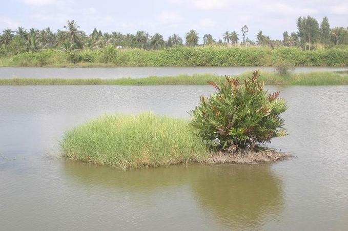 view of the confluence