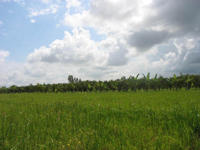 East view