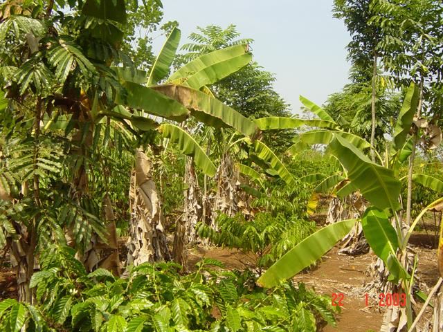 View to West