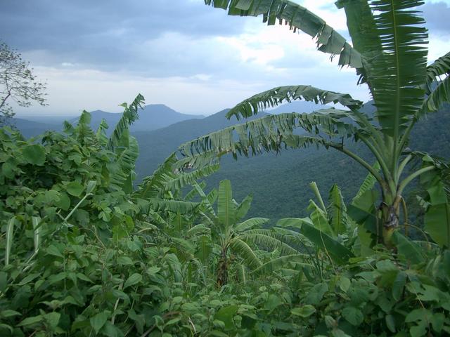 View from about 1.5 miles from the confluence.