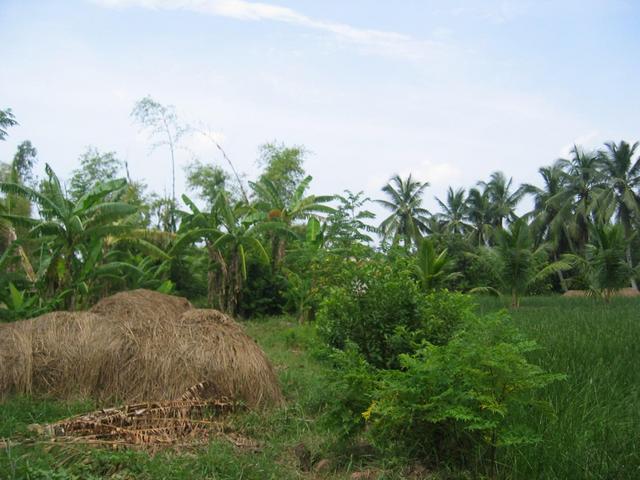 View form the East
