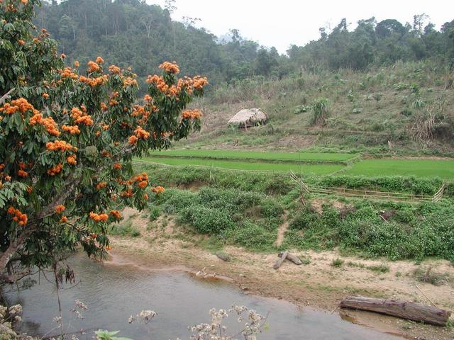 Another view of the village