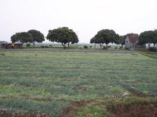 #1: South view including farm house.