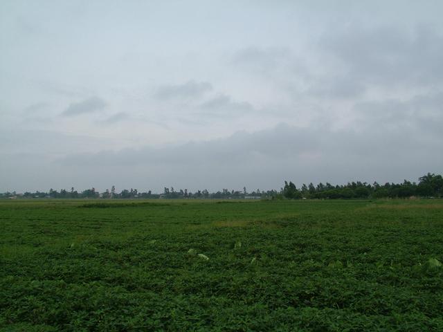 North