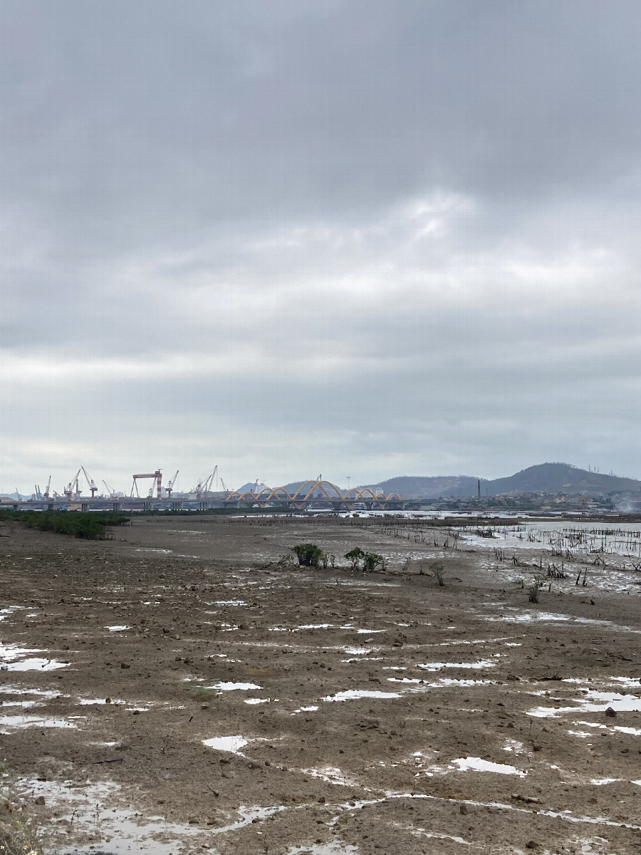 East view. Technically South-east. The iconic red-and-white gantry crane of Ha Long Shipyard is still there after 20 years from the last confluence visit. The new funny-looking yellow Love Bridge.