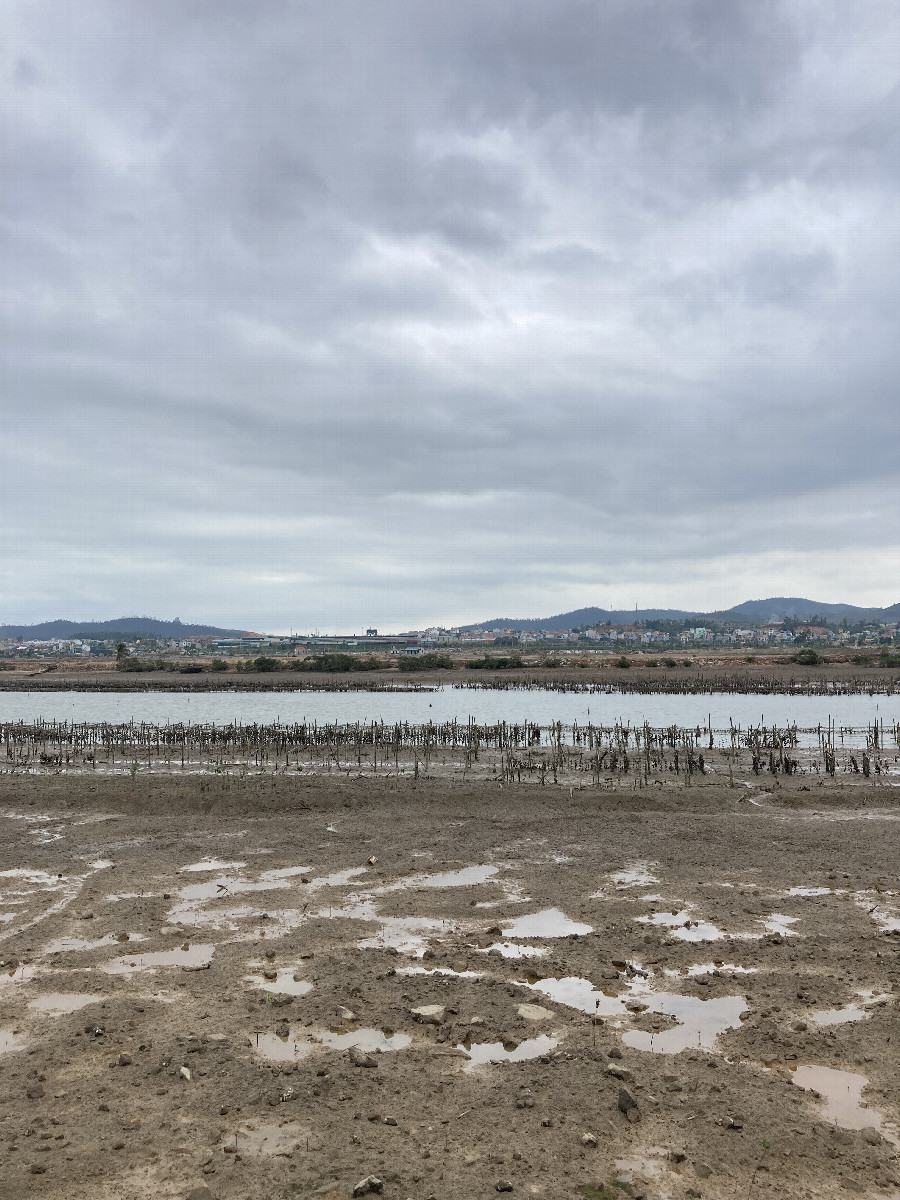 South view. Viglacera Ha Long factory is on the otherside where they produce one of the best terracotta roof tiles and floor tiles in the country.