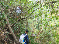 #10: Uncle Dai on a mountainside slope