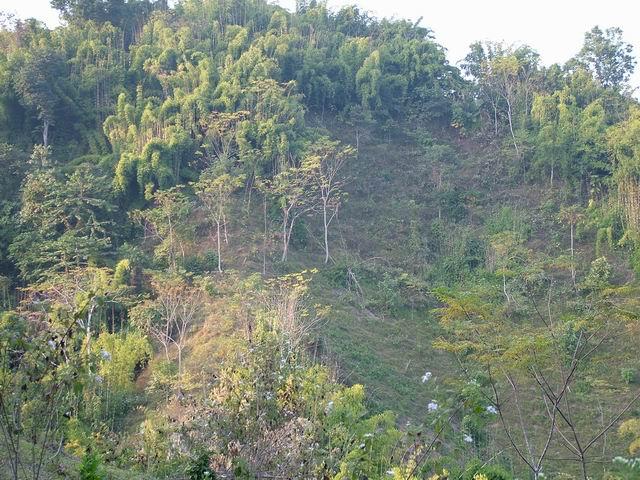 View of the confluence from 100m away