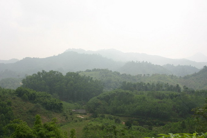 East view