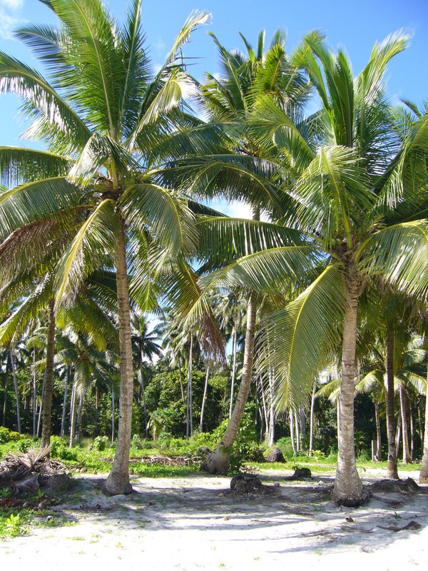 View north east towards the main land