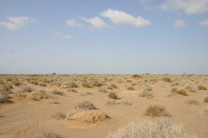 View to the West and overview of confluence point